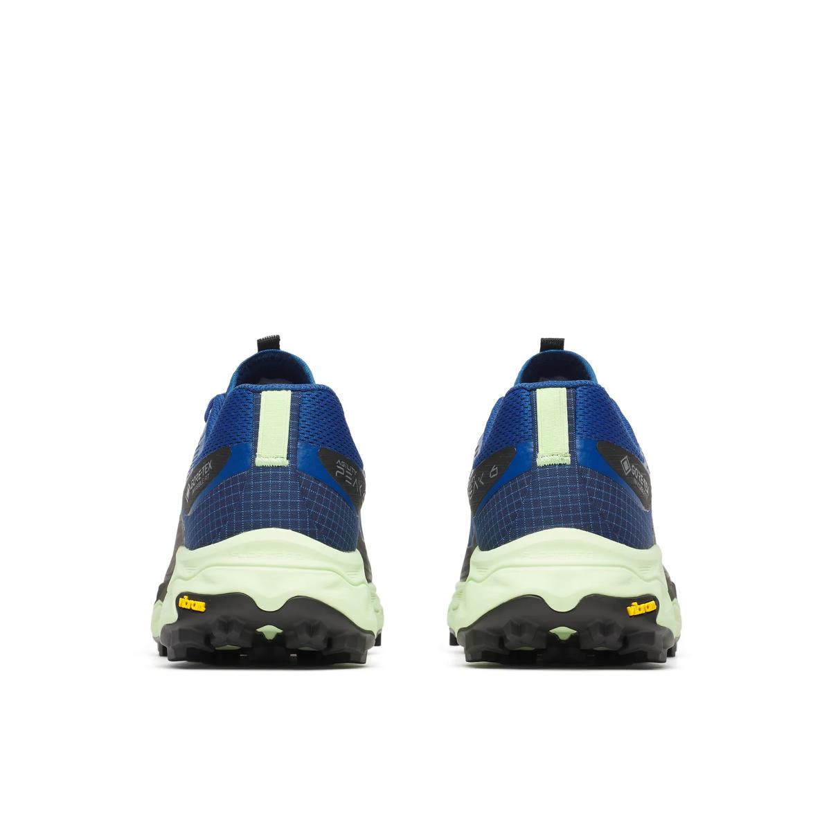Men's Agility Peak 6 GORE-TEX® - US 9501